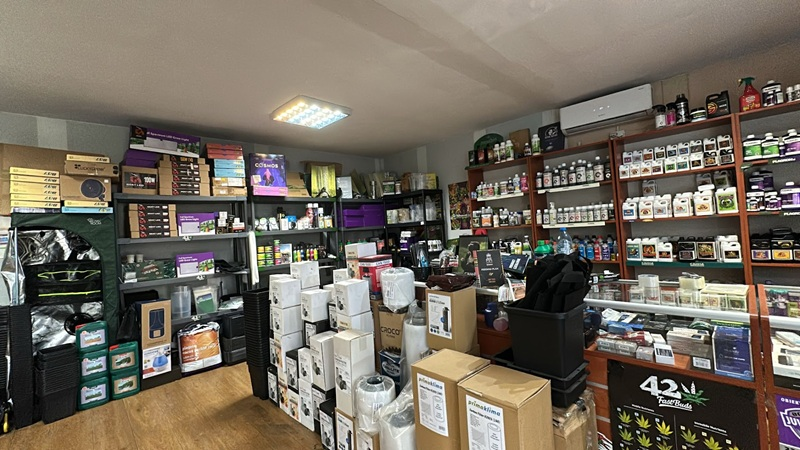 Jak stworzyć w domu warunki dla roślin egzotycznych? Lampy, namioty i akcesoria z growshopu