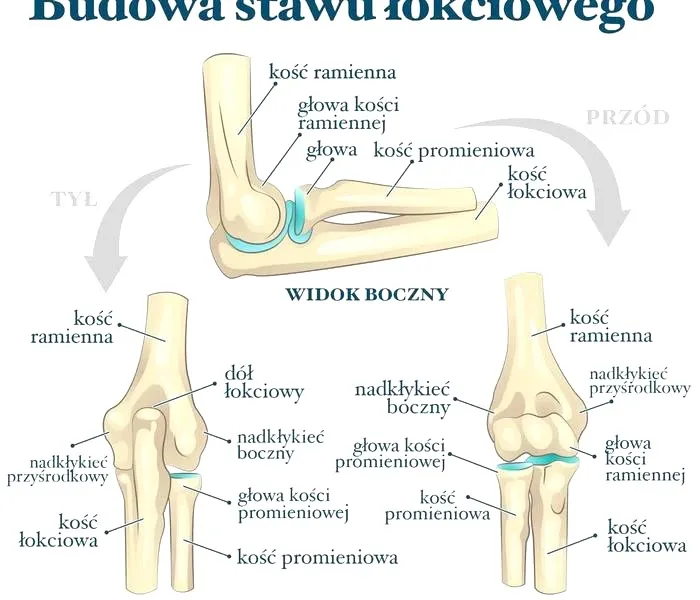 Ile naprawdę kosztuje budowa stawu? Przewodnik po wydatkach i możliwościach