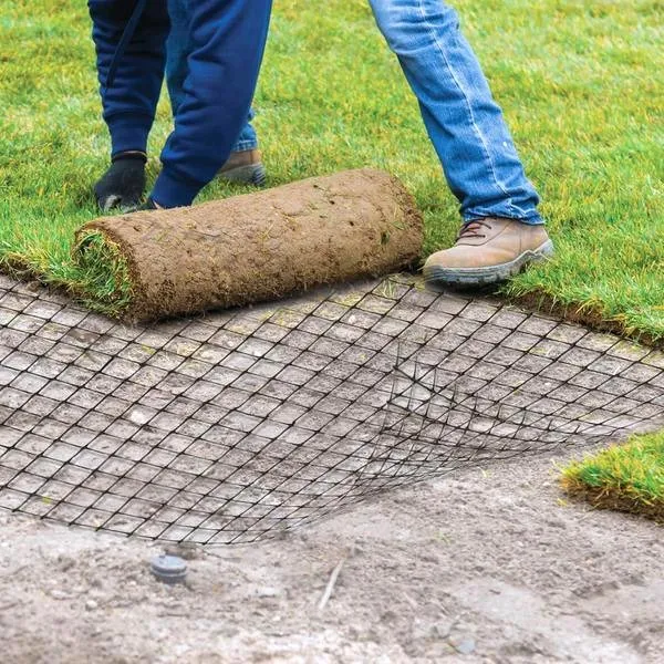 Skuteczne sposoby na ochronę ogrodu: jak zamontować siatkę na krety?