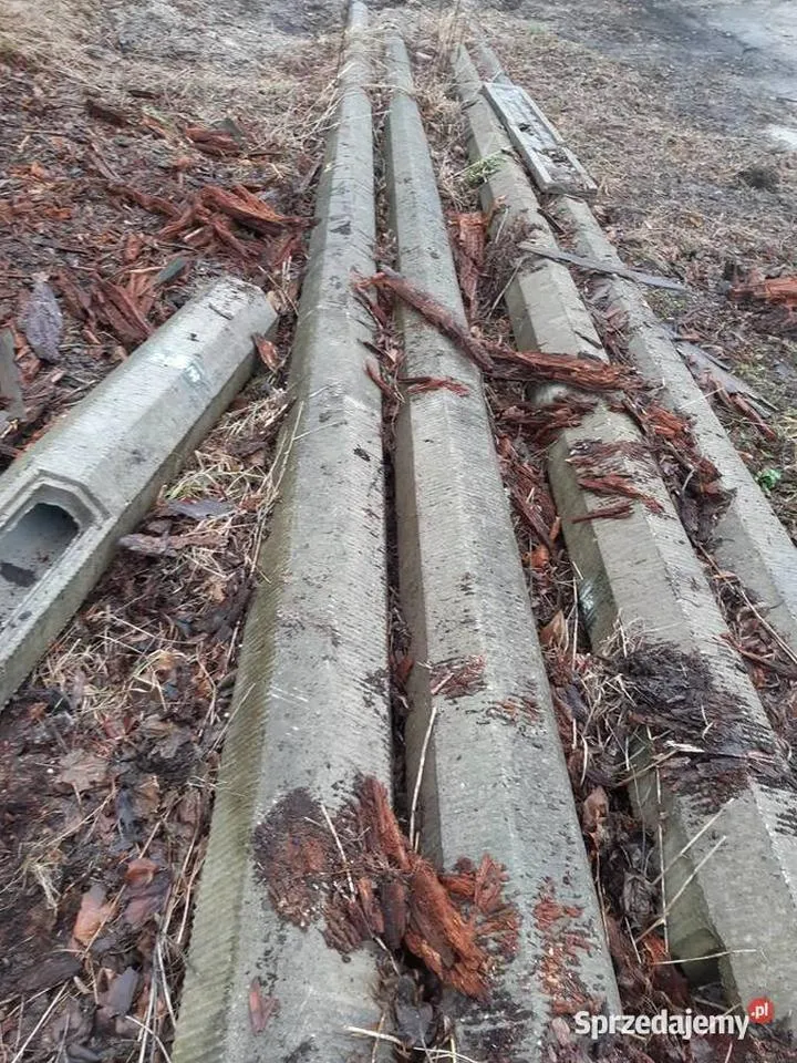 Słupy oświetleniowe 8m