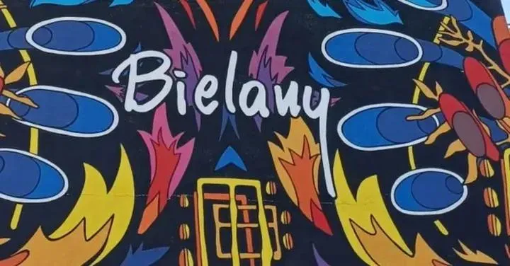 Trwałość i jakość farb do murali